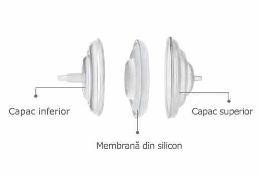 Accesorii pompa - Filtru protectie flux invers - Atelieru' lui Mesterica