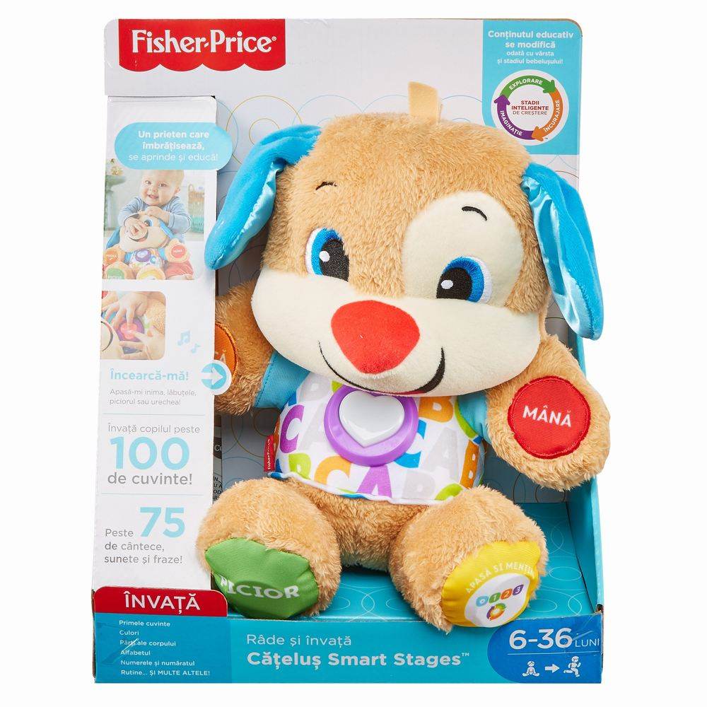 CATELUSUL VORBITOR SI EDUCATIV LIMBA ROMANA FISHER PRICE Atelieru' lui Mesterica | Jucarii, haine si incaltaminte pentru copii