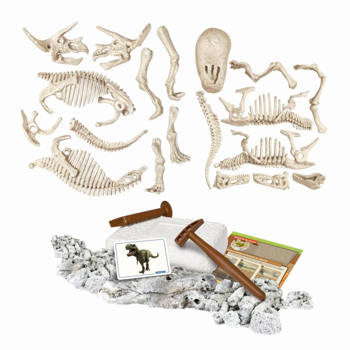 DESCOPERA DINOZAURUL T-REX & TRICERAPTOR FLUO STIINTA SI JOACA - Atelieru' lui Mesterica