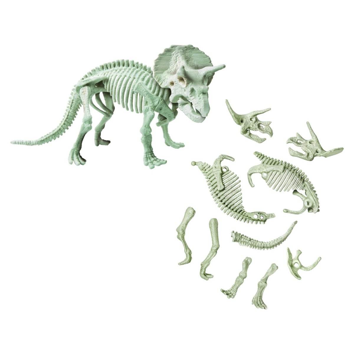 DESCOPERA DINOZAURUL TRICERATOPS - Atelieru' lui Mesterica