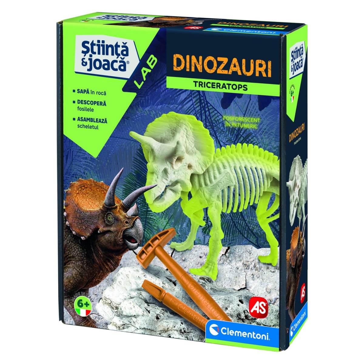 DESCOPERA DINOZAURUL TRICERATOPS - Atelieru' lui Mesterica