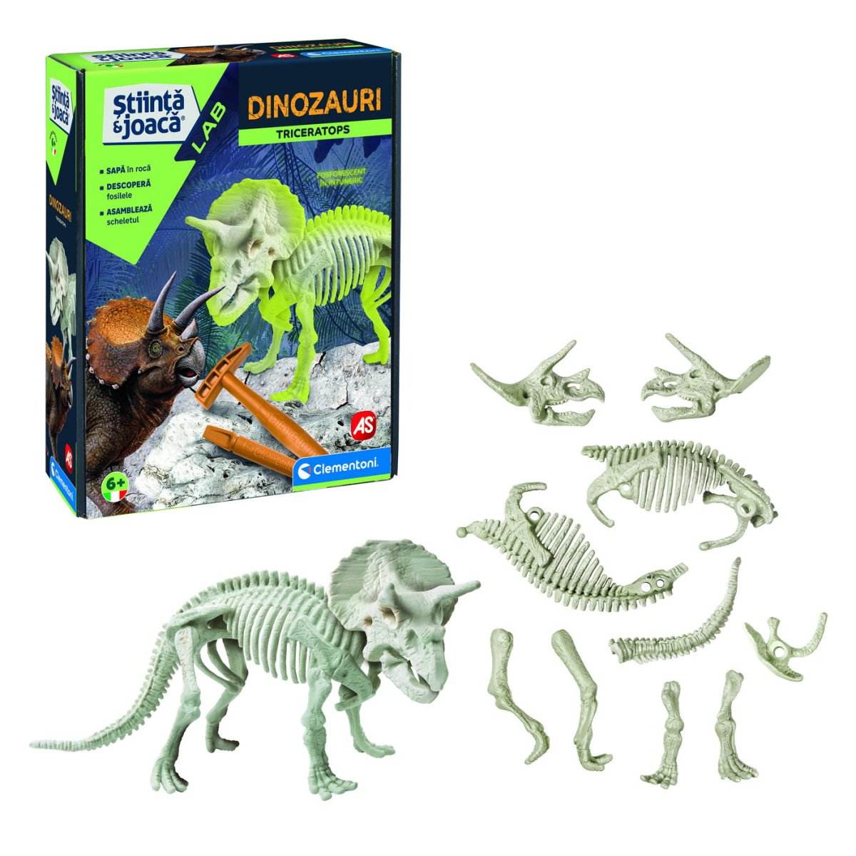 DESCOPERA DINOZAURUL TRICERATOPS - Atelieru' lui Mesterica