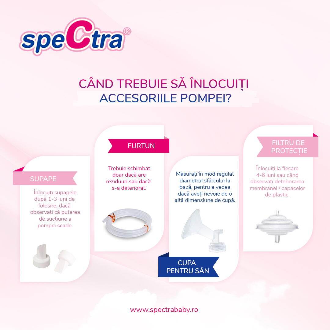 Accesorii pompa - Filtru protectie flux invers - Atelieru' lui Mesterica