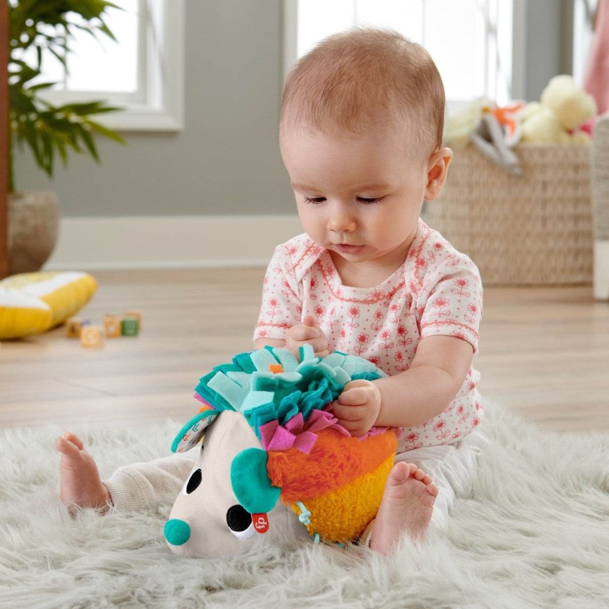 FISHER PRICE ARICIUL CU ACTIVITATI SENZORIALE Atelieru' lui Mesterica | Jucarii, haine si incaltaminte pentru copii
