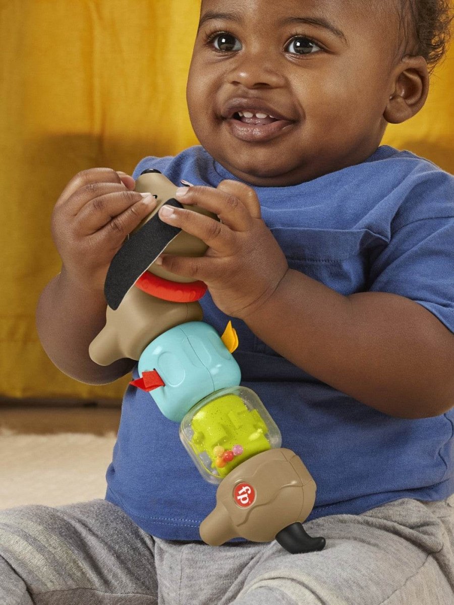 FISHER PRICE JUCARIE CATELUS DE ACTIVITATE PENTRU BEBELUSI CLICK AND SPIN - Atelieru' lui Mesterica