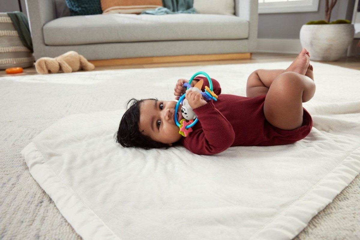 FISHER PRICE JUCARIE DENTITIE VIDRA Atelieru' lui Mesterica | Jucarii, haine si incaltaminte pentru copii