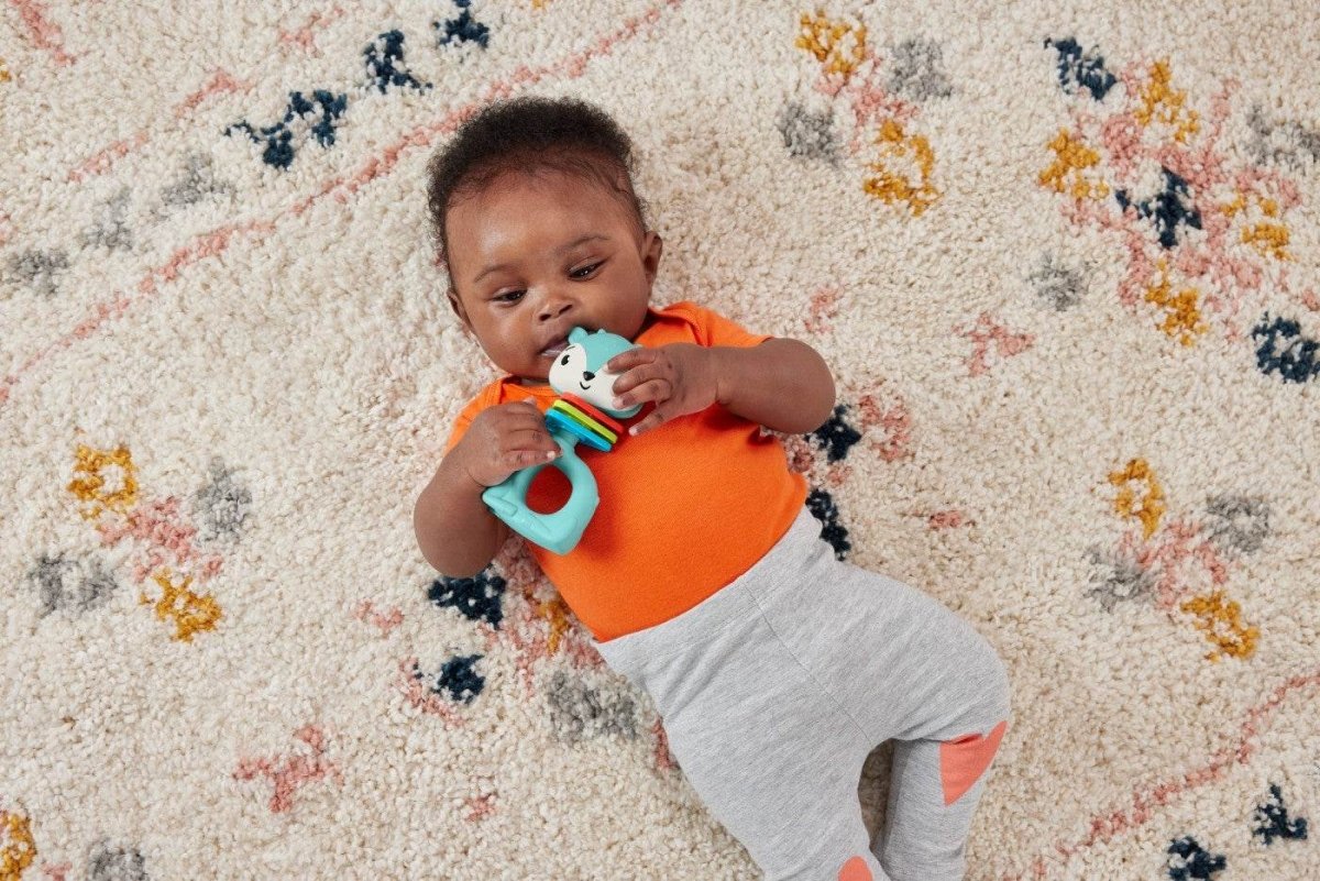 FISHER PRICE JUCARIE ZORNAITOARE CERB - Atelieru' lui Mesterica
