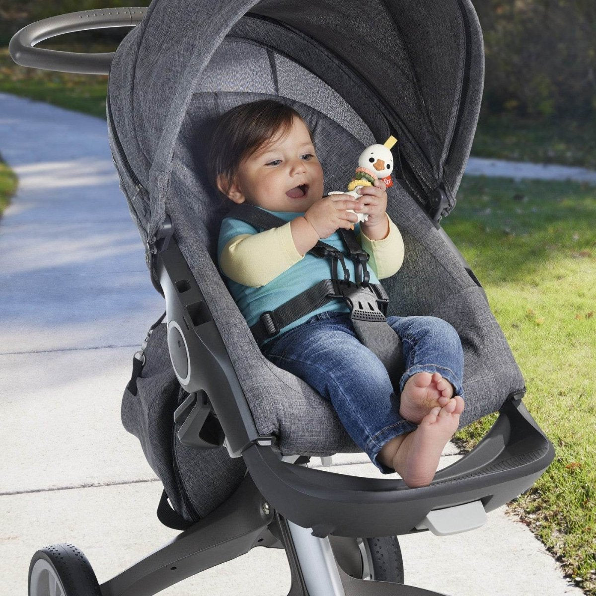 FISHER PRICE JUCARIE ZORNAITOARE GASCA Atelieru' lui Mesterica | Jucarii, haine si incaltaminte pentru copii