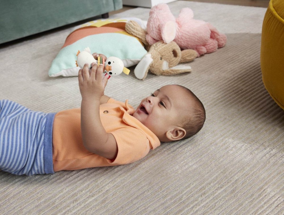 FISHER PRICE JUCARIE ZORNAITOARE GASCA Atelieru' lui Mesterica | Jucarii, haine si incaltaminte pentru copii
