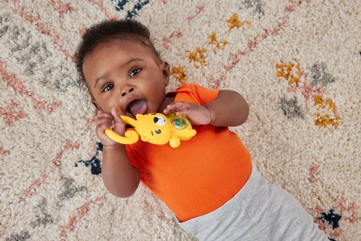 FISHER PRICE JUCARIE ZORNAITOARE LEOPARD - Atelieru' lui Mesterica