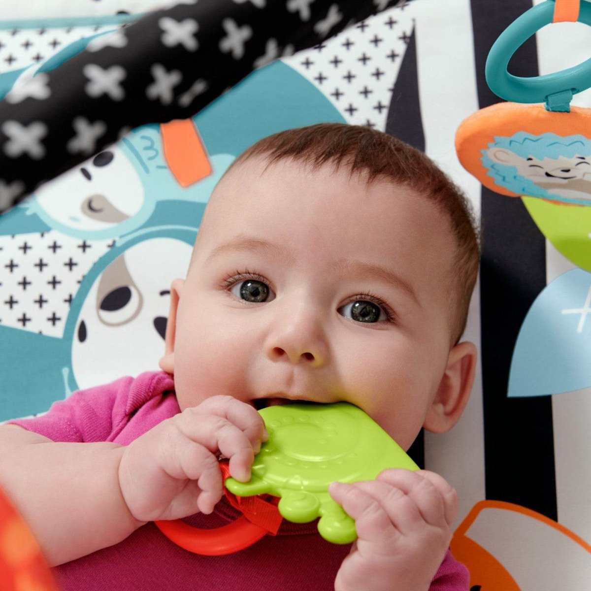 FISHER PRICE SALTEA MUZICALA 3 IN 1 CU CENTRU DE ACTIVITATI - Atelieru' lui Mesterica