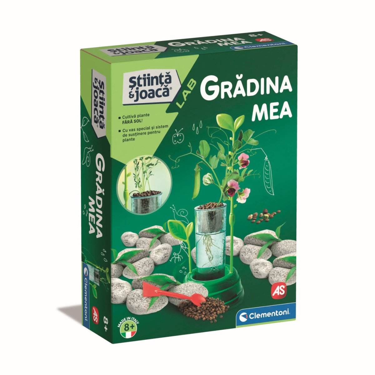 GRADINA MEA STIINTA JOACA - Atelieru' lui Mesterica