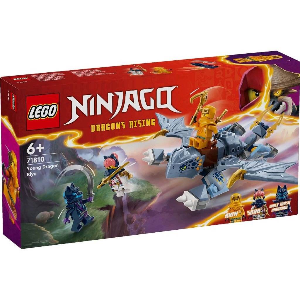 LEGO NINJAGO TANARUL DRAGON RIYU 71810 - Atelieru' lui Mesterica