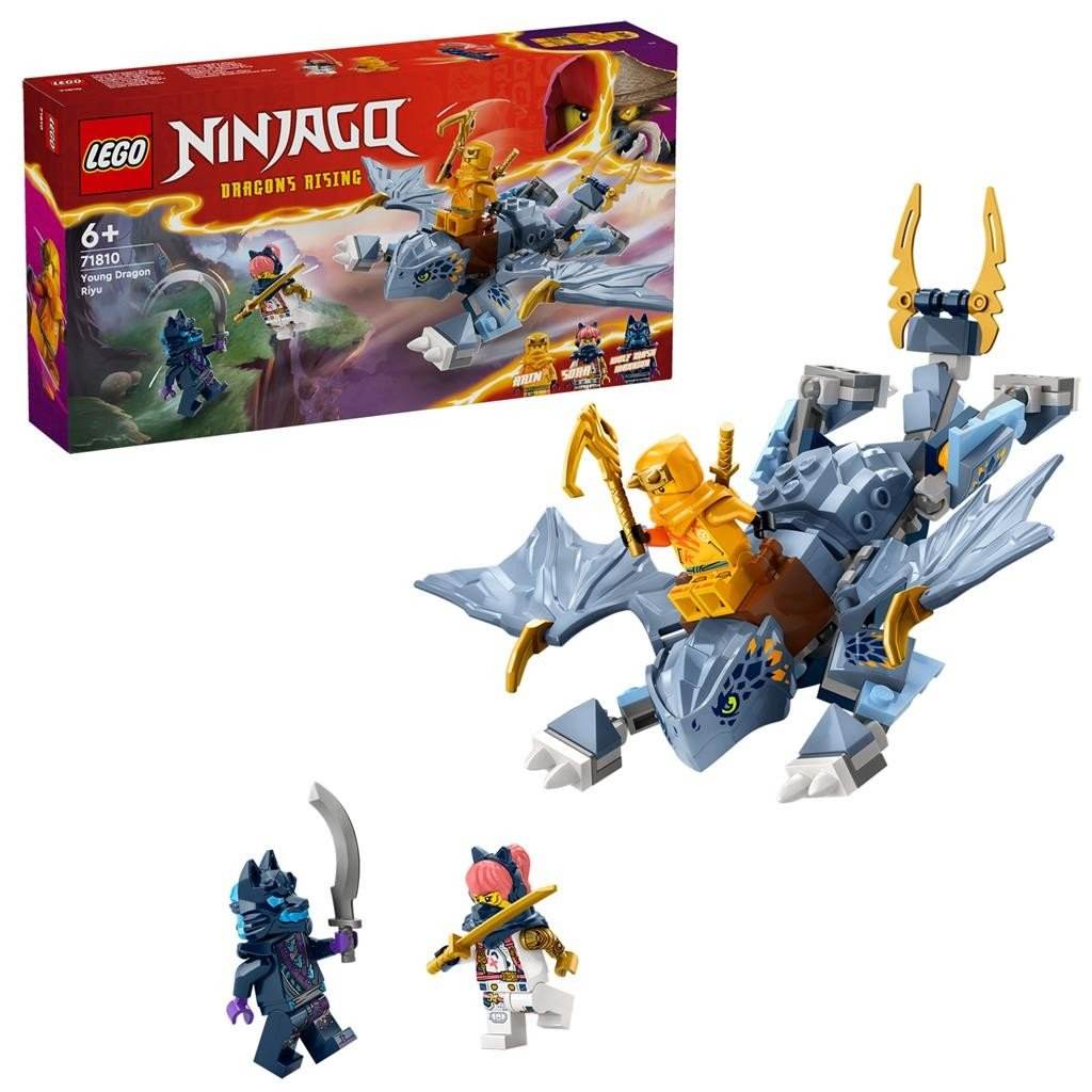 LEGO NINJAGO TANARUL DRAGON RIYU 71810 - Atelieru' lui Mesterica