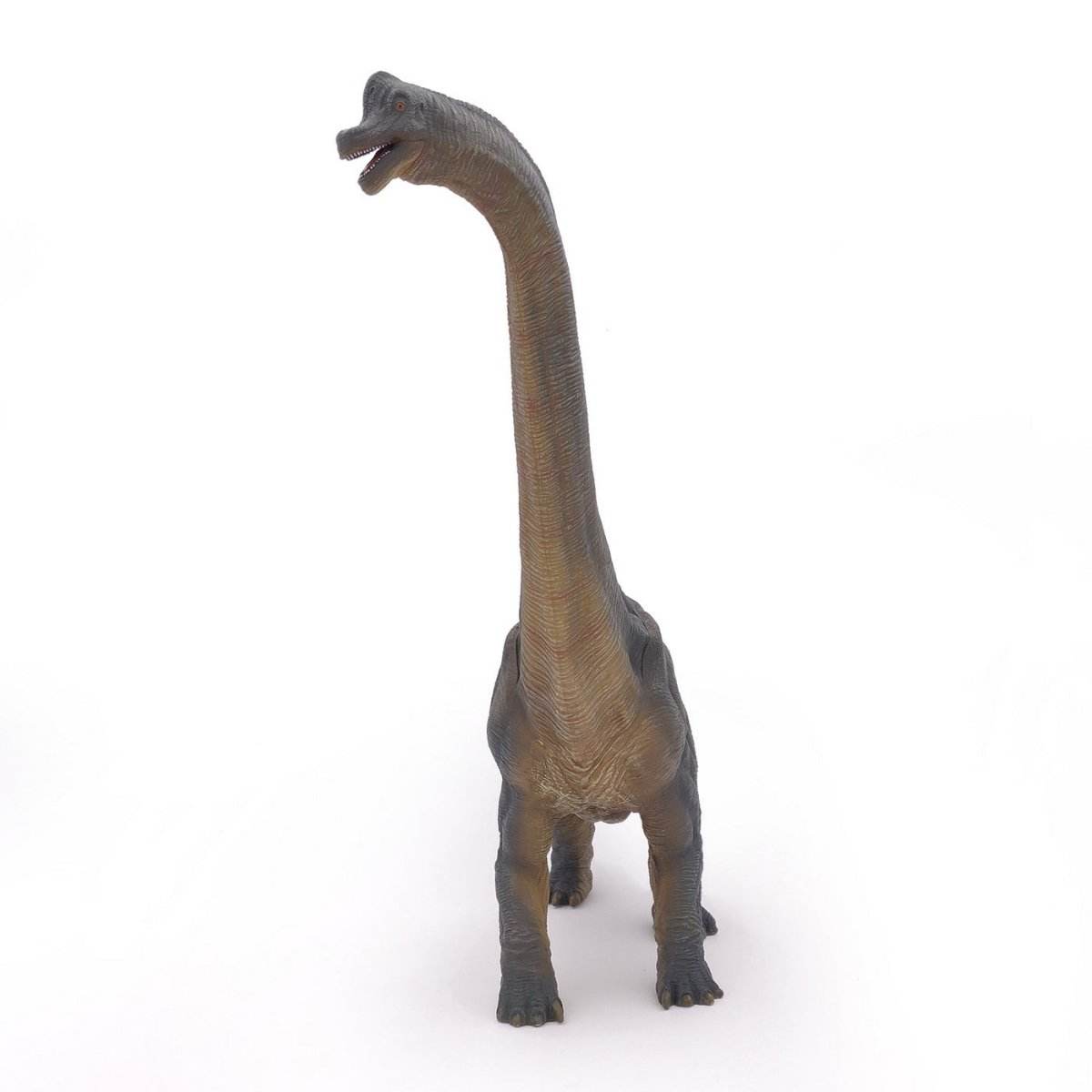 PAPO FIGURINA DINOZAUR BRACHIOSAURUS - Atelieru' lui Mesterica