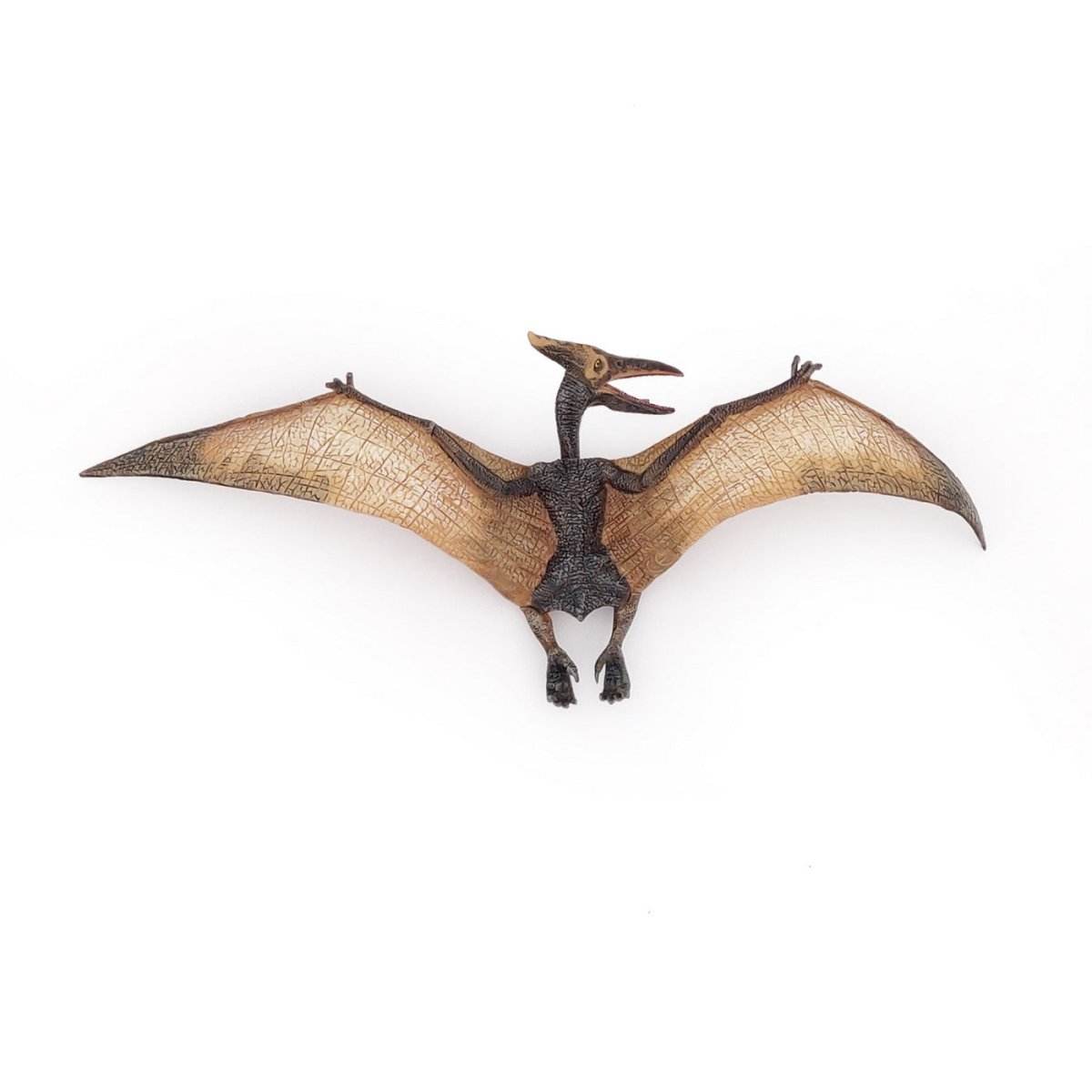 PAPO FIGURINA DINOZAUR PTERANODON - Atelieru' lui Mesterica