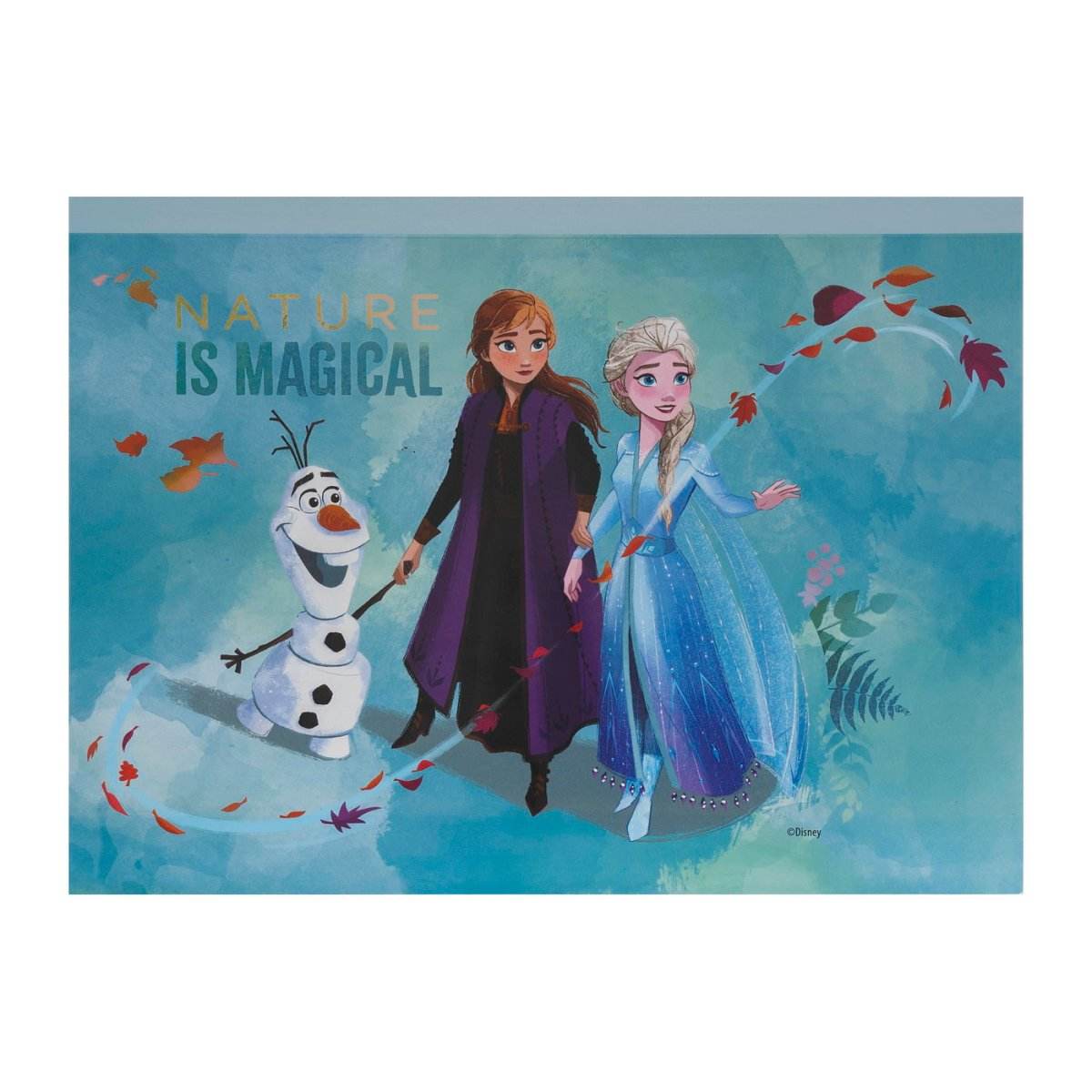 SET DESEN GENTUTA DE CREATIE FROZEN - Atelieru' lui Mesterica