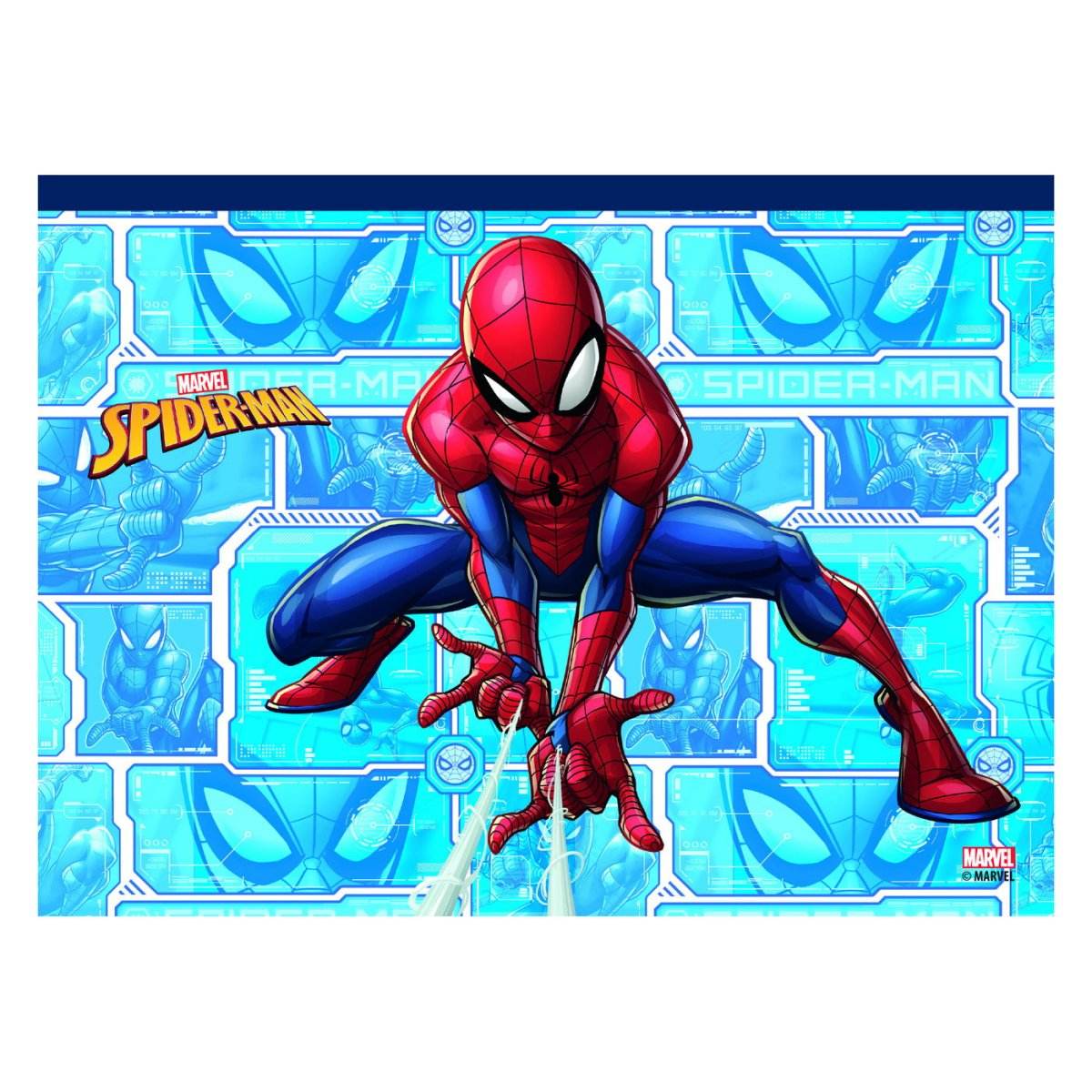 SPIDERMAN SET DESEN GENTUTA DE CREATIE - Atelieru' lui Mesterica