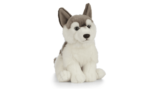 Catelus de plus Husky - Atelieru' lui Mesterica