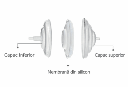 Accesorii pompa - Filtru protectie flux invers - Atelieru' lui Mesterica