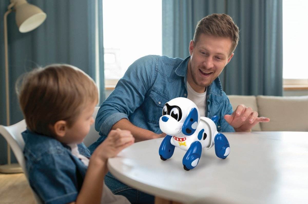 CATELUS ELECTRONIC ROBOT RUFFY - Atelieru' lui Mesterica