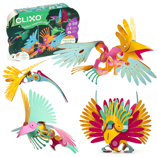 Clixo® joc magnetic de construit - Pasari tropicale (22 piese) Atelieru' lui Mesterica | Jucarii, haine si incaltaminte pentru copii