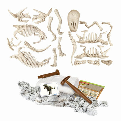 DESCOPERA DINOZAURUL T-REX & TRICERAPTOR FLUO STIINTA SI JOACA - Atelieru' lui Mesterica