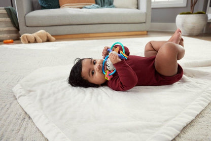FISHER PRICE JUCARIE DENTITIE VIDRA Atelieru' lui Mesterica | Jucarii, haine si incaltaminte pentru copii