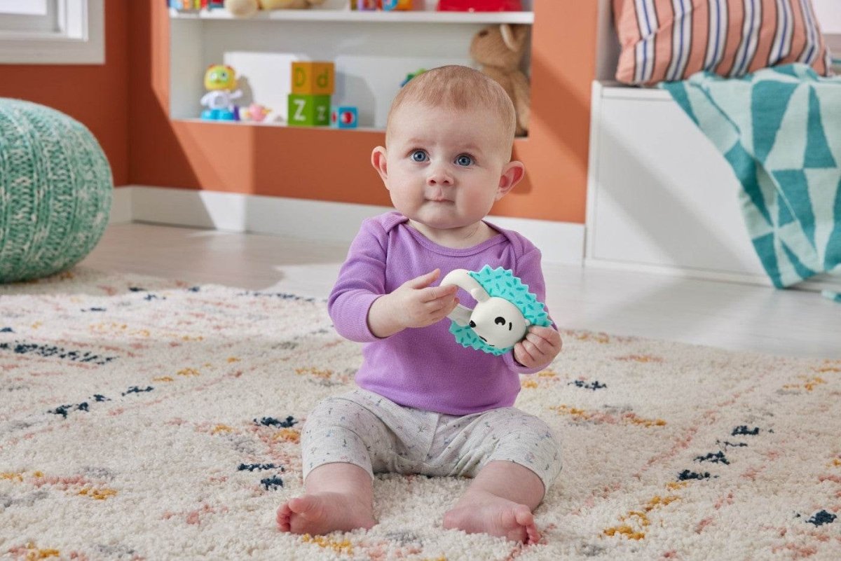 FISHER PRICE JUCARIE ZORNAITOARE ARICI Atelieru' lui Mesterica | Jucarii, haine si incaltaminte pentru copii