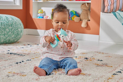 FISHER PRICE JUCARIE ZORNAITOARE CERB - Atelieru' lui Mesterica