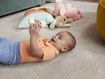 FISHER PRICE JUCARIE ZORNAITOARE GASCA Atelieru' lui Mesterica | Jucarii, haine si incaltaminte pentru copii