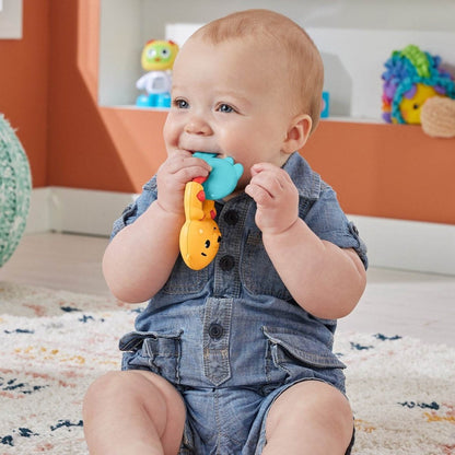 FISHER PRICE JUCARIE ZORNAITOARE VIDRA Atelieru' lui Mesterica | Jucarii, haine si incaltaminte pentru copii