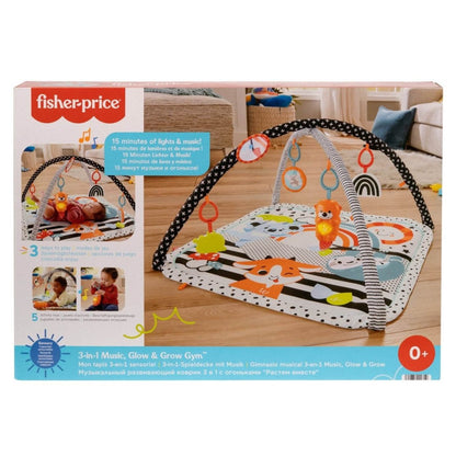 FISHER PRICE SALTEA MUZICALA 3 IN 1 CU CENTRU DE ACTIVITATI Atelieru' lui Mesterica | Jucarii, haine si incaltaminte pentru copii