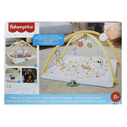 FISHER PRICE SALTELUTA DE ACTIVITATI - Atelieru' lui Mesterica
