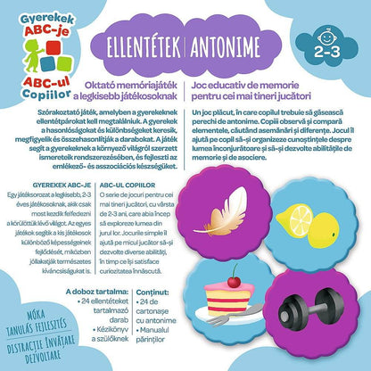 JOC ANTONIME - Atelieru' lui Mesterica