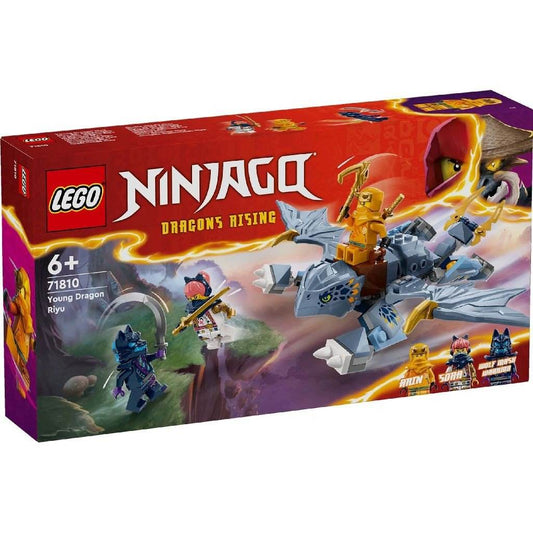 LEGO NINJAGO TANARUL DRAGON RIYU 71810 - Atelieru' lui Mesterica