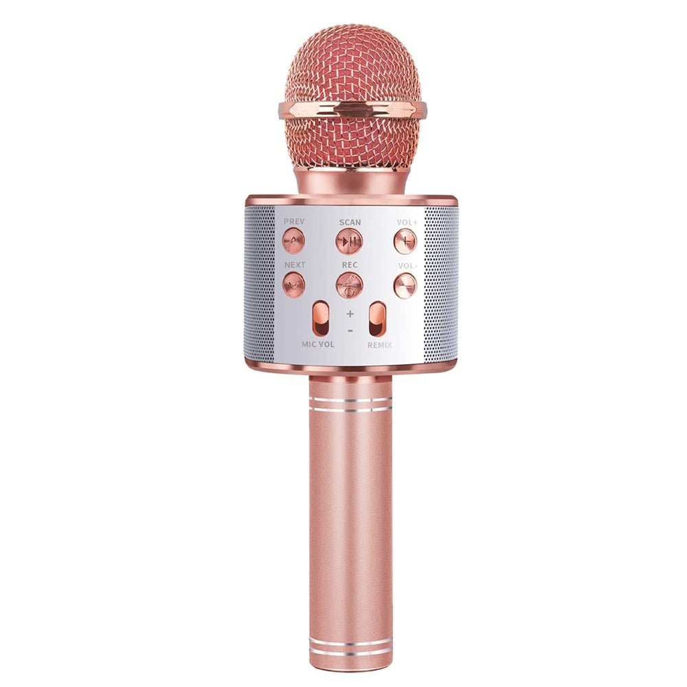 Microfon karaoke cu baterii Atelieru' lui Mesterica | Jucarii, haine si incaltaminte pentru copii