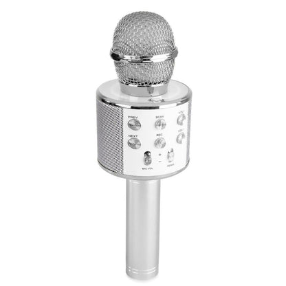 Microfon karaoke cu baterii Atelieru' lui Mesterica | Jucarii, haine si incaltaminte pentru copii
