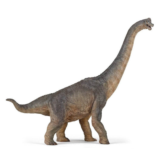 PAPO FIGURINA DINOZAUR BRACHIOSAURUS - Atelieru' lui Mesterica