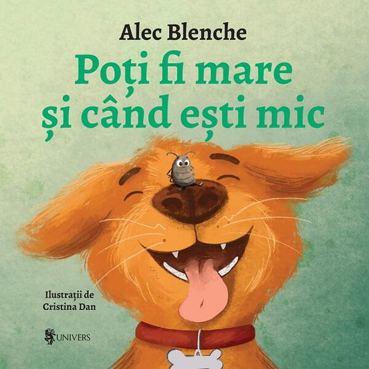 Poti fi mare si cand esti mic Atelieru' lui Mesterica | Jucarii, haine si incaltaminte pentru copii
